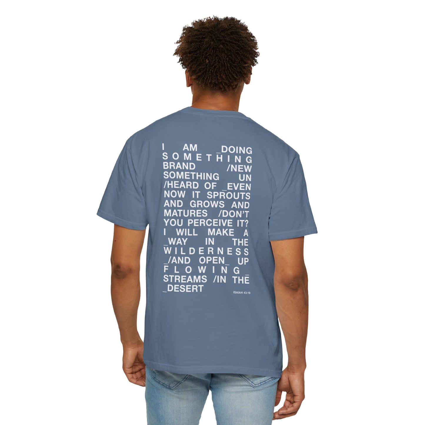 streams in the desert tee (colors)