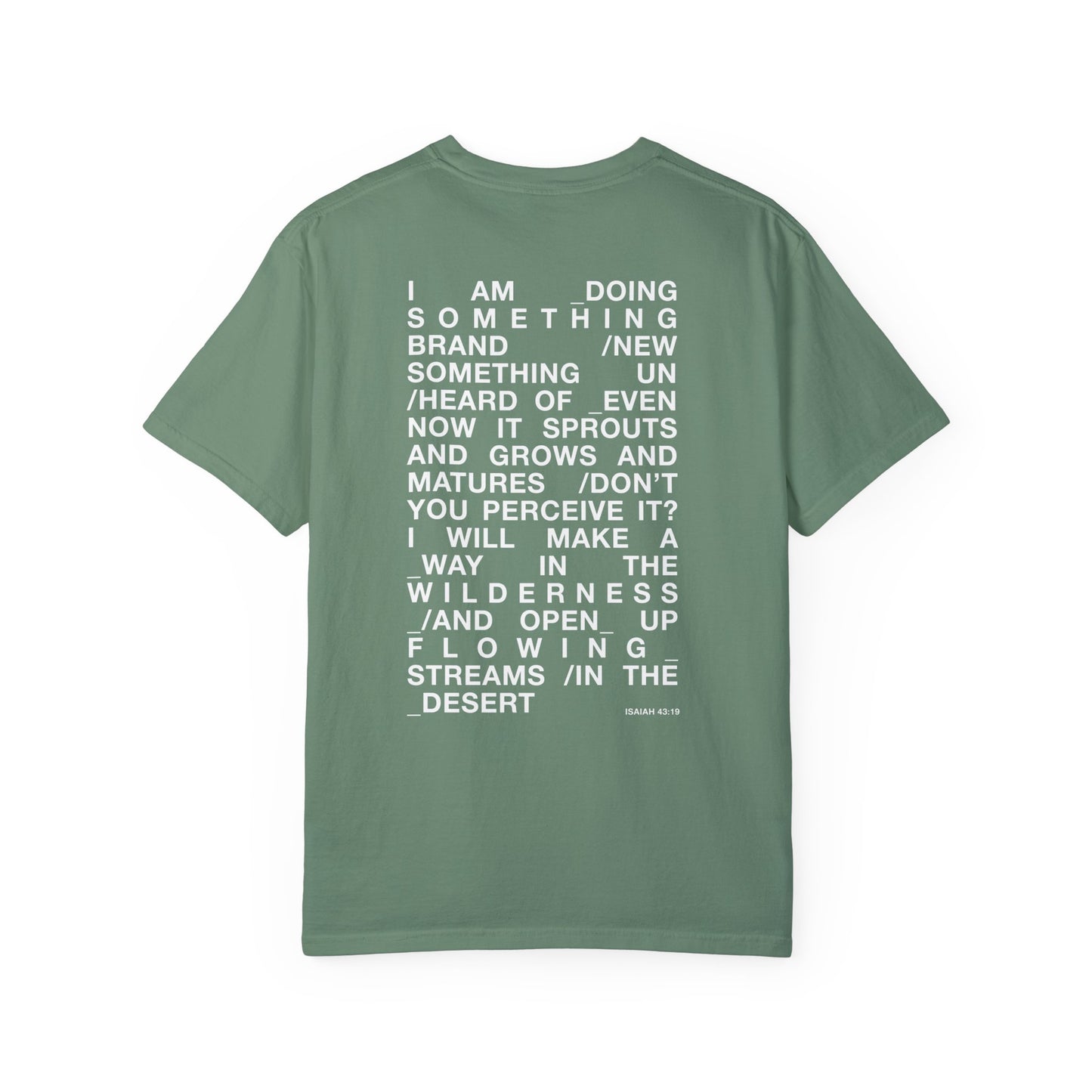 streams in the desert tee (colors)